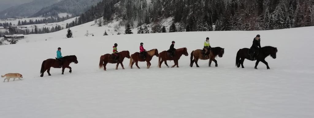 Reiten in der Natur